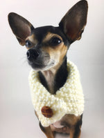 Winter Cream Swagsnood - Close Up View of Cute Chihuahua Dog Wearing Winter Cream Color Dog Snood  with Accent Button