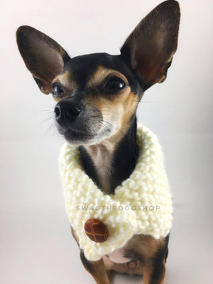 Winter Cream Swagsnood - Close Up View of Cute Chihuahua Dog Wearing Winter Cream Color Dog Snood  with Accent Button