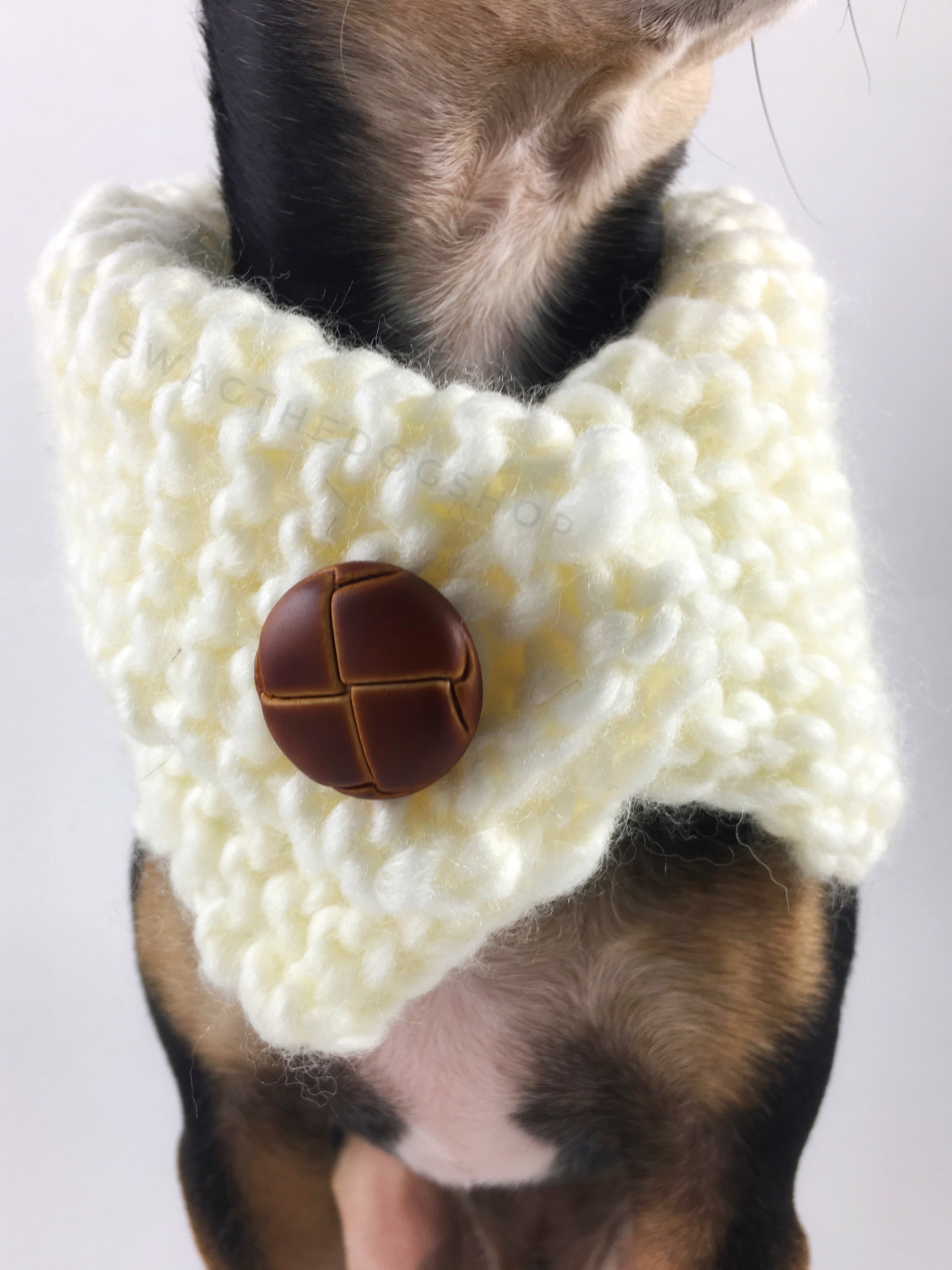 Winter Cream Swagsnood - Close Up Neck View of Cute Chihuahua Dog Wearing Winter Cream Color Dog Snood with Accent Button